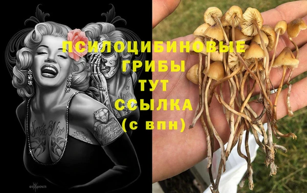 кокс Белоозёрский