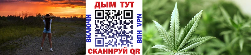 где найти наркотики  блэк спрут как войти  Конопля AK-47  Гороховец 